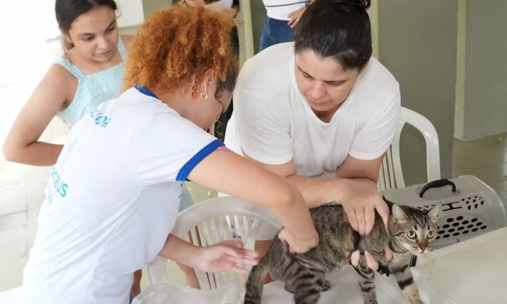 Campanha contra a raiva animal ocorre em Manaus até novembro