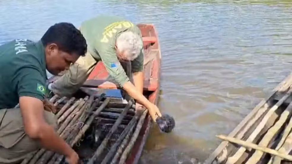 Operação Gaspar amplia fiscalização no Rio Purus