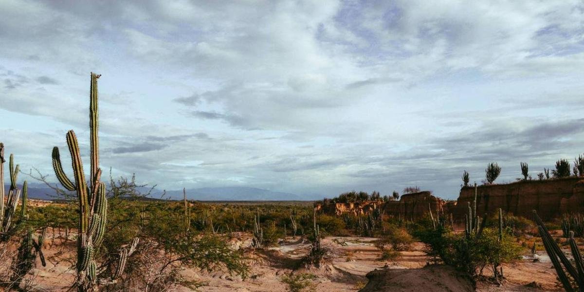 COP17 apresenta estudos sobre seca e degradação