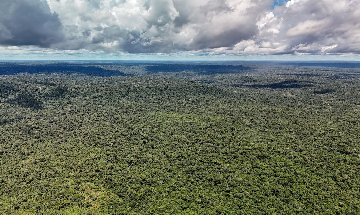 BID amplia financiamento verde no Brasil