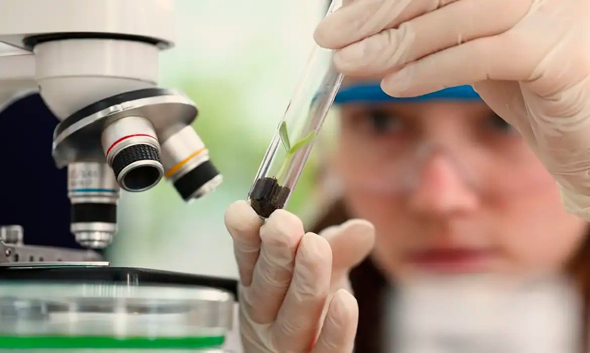 Premiação valoriza iniciação científica feminina no Brasil