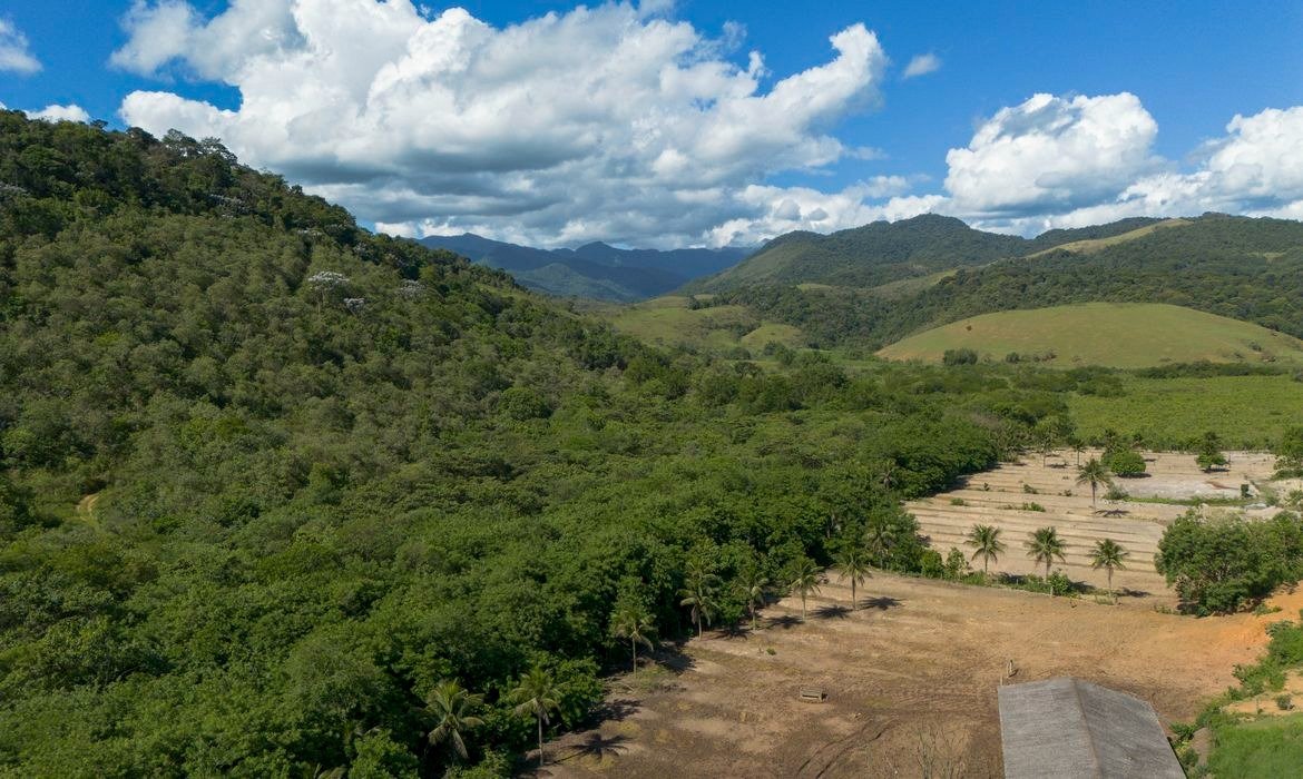 Agricultura substitui parte das pastagens na Mata Atlântica