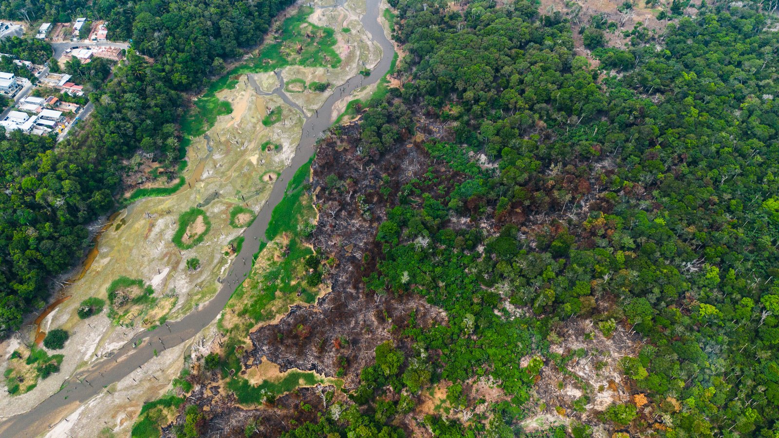 Incêndio reforça alerta ambiental na zona Oeste de Manaus