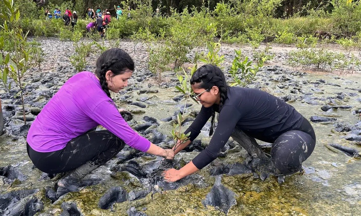Estudantes, pesquisadores e profissionais interessados em apresentar trabalhos no 10º Fórum Brasileiro de Educação Ambiental (FBEA) têm até esta quarta-feira (30) para realizar a submissão. O encontro está marcado para ocorrer entre os dias 23 e 28 de novembro de 2026, em Brasília.